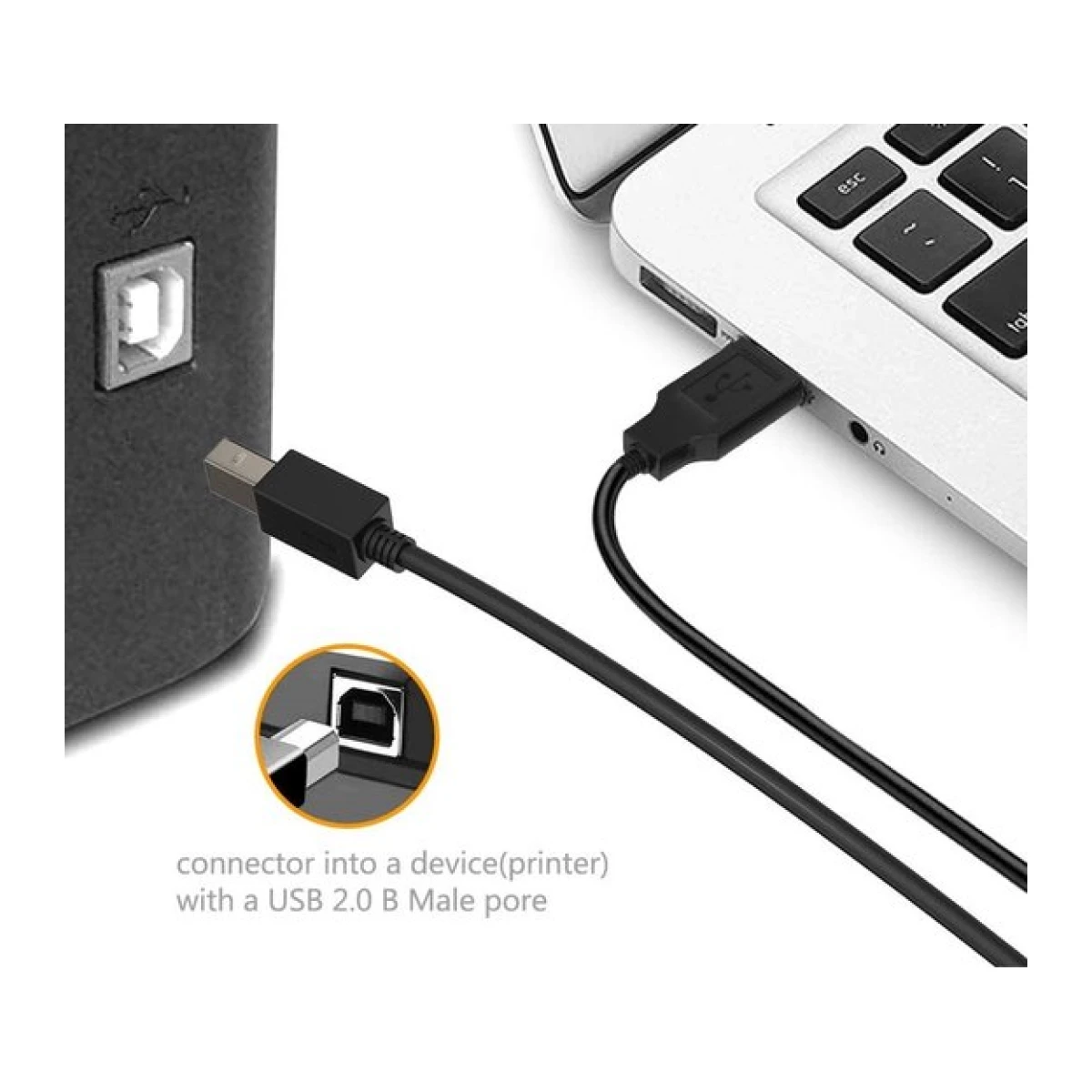 USB Printerkabel 3 meter - USB 2.0 - Afbeelding 4